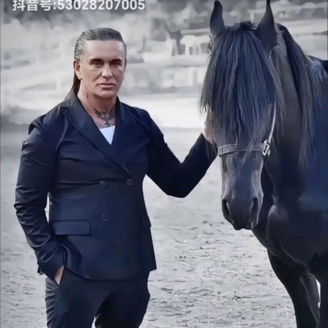 乔歌
