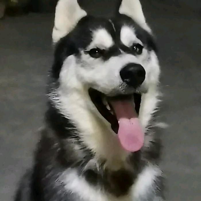 祈安