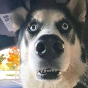 ༒୧⍤⃝ᝰCᴀᴛꦿོ༒ꫛ