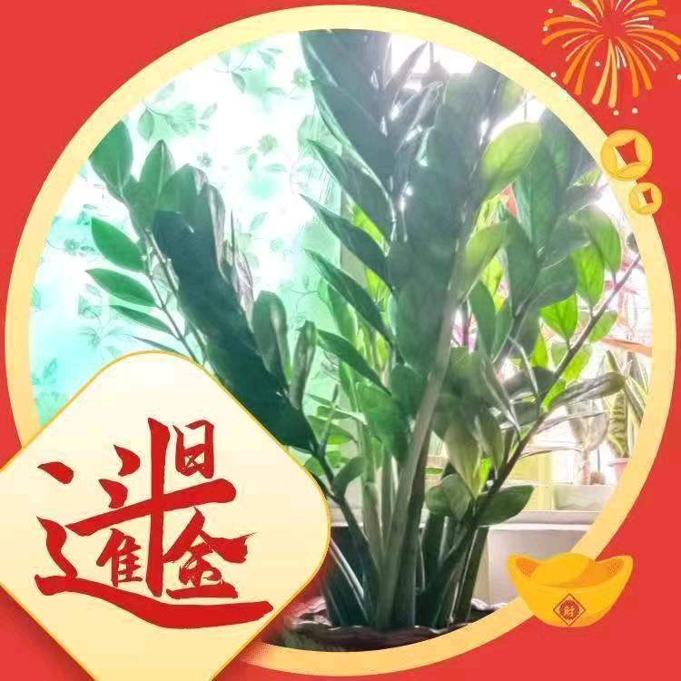 A无名火