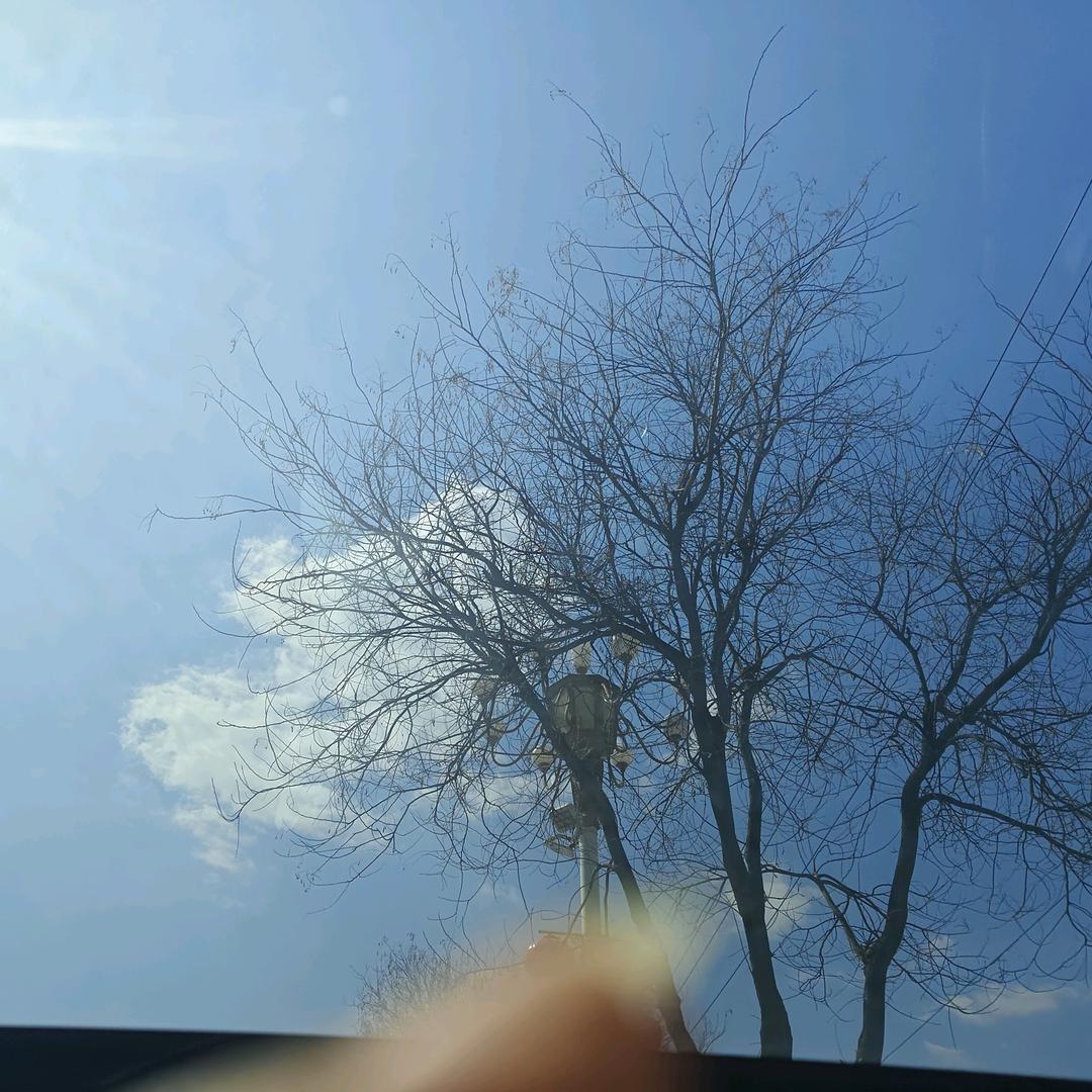 苏小雨