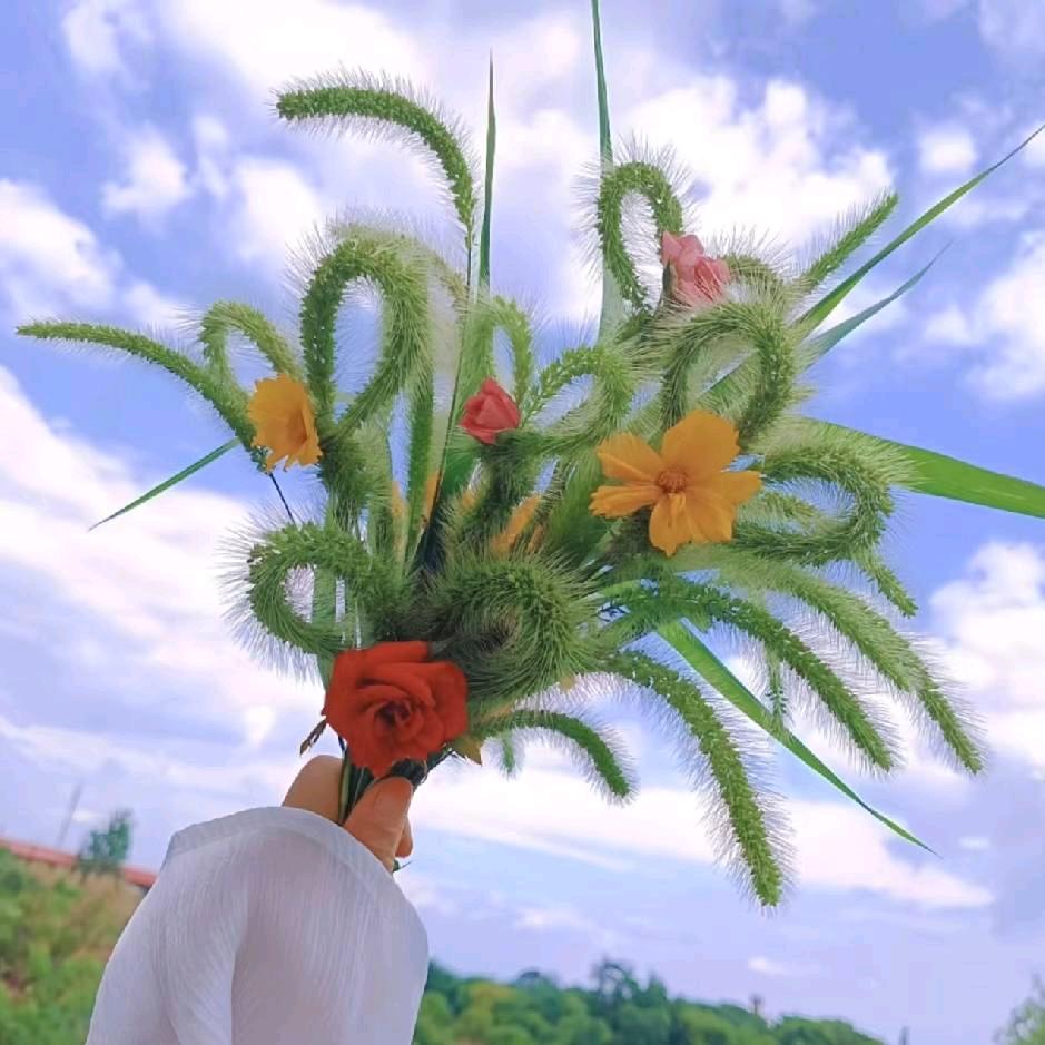 攒够余生