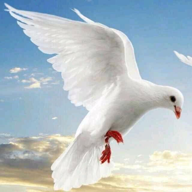 💝尘封^O^记忆💝