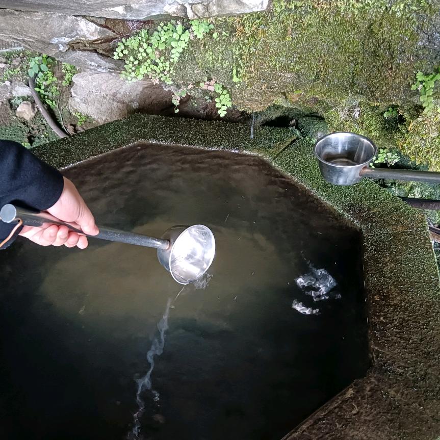 静雅如水