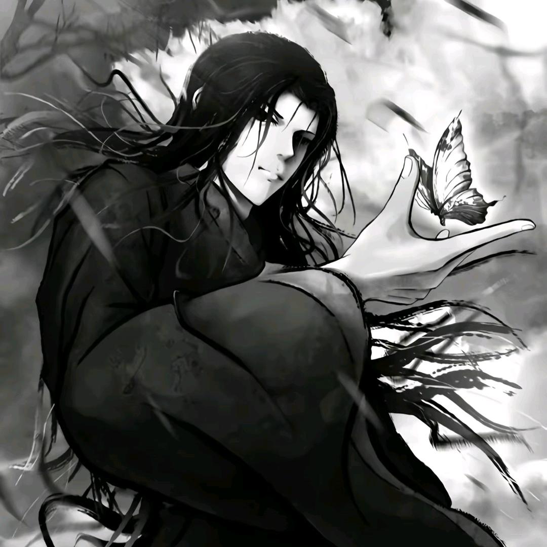 鸡太美