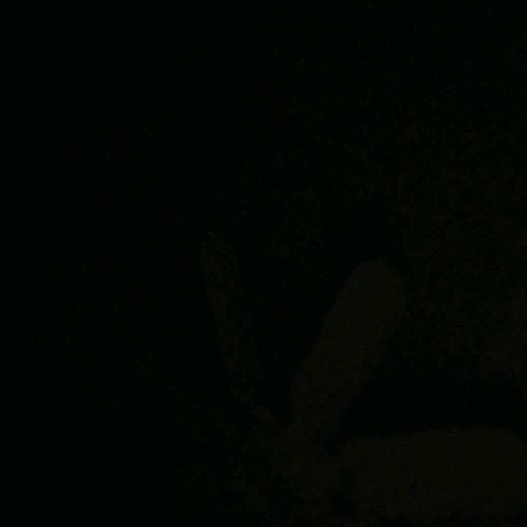多才多金。