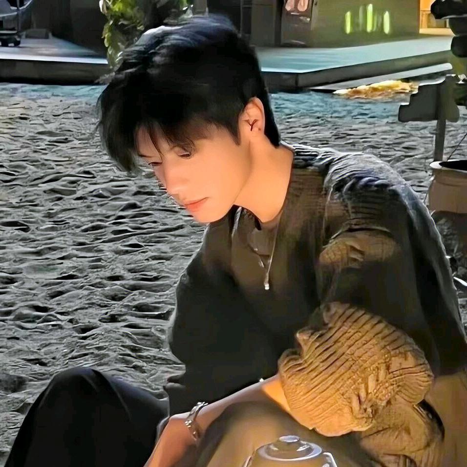 Ls.折云🍃ʸᵉ（圣人）