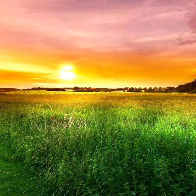 迷彩一线牵个缘