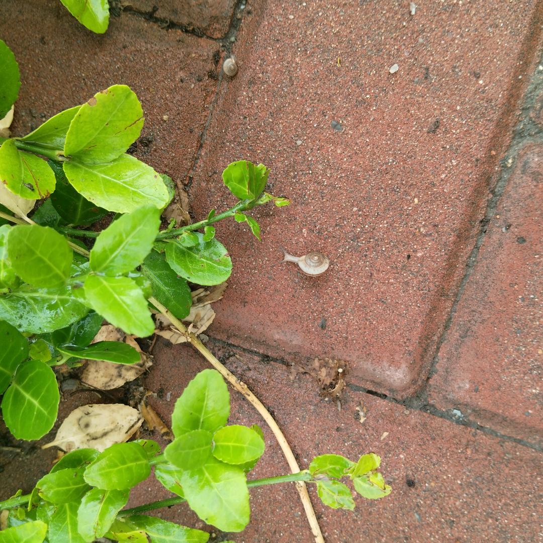 。。。。。。。。。。