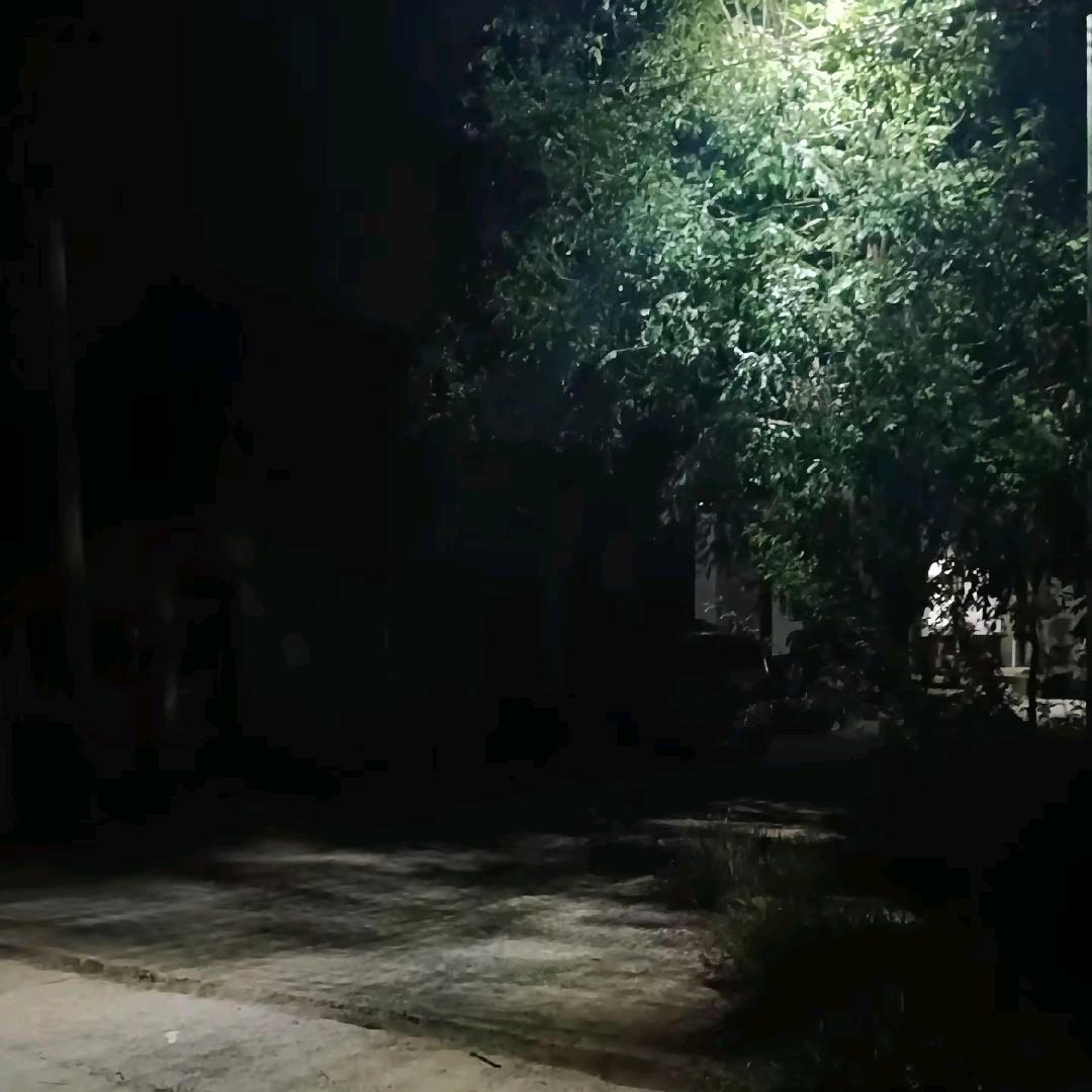 嘻鸿