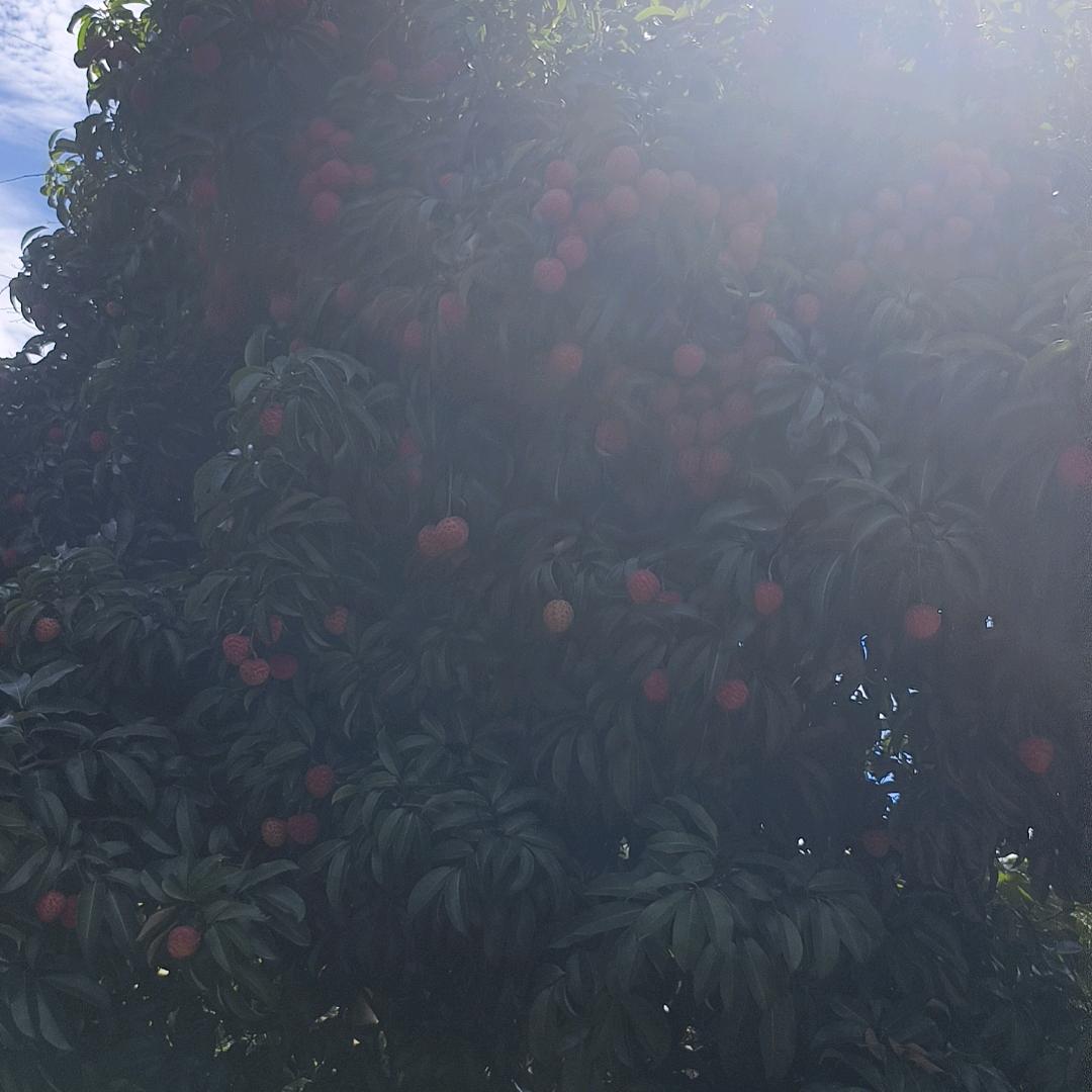 罐装冰块