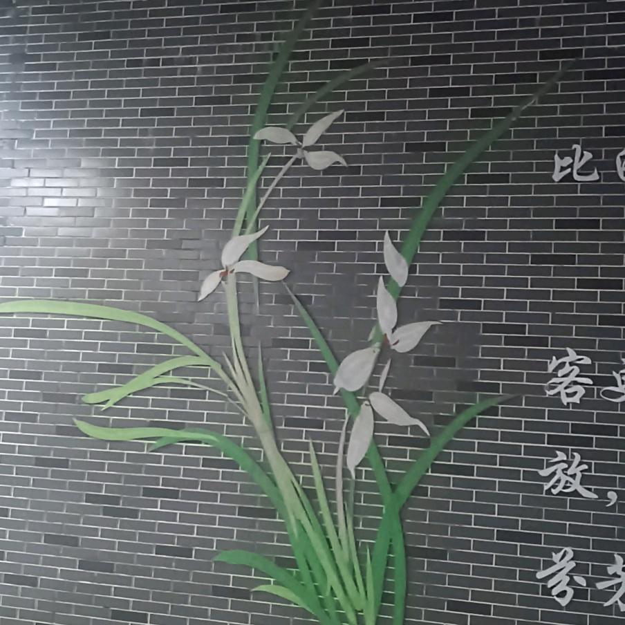 杨二妹