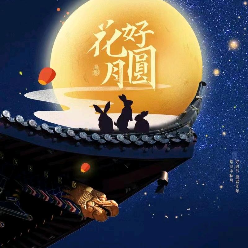 💫✨沉默是金✨💫