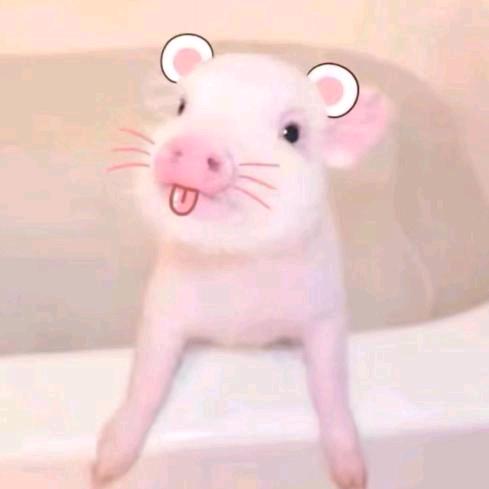 现实是个病娇