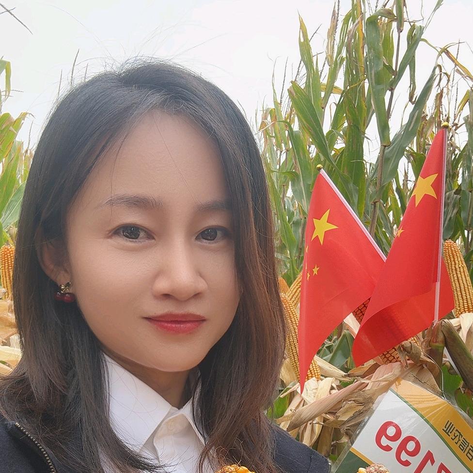 大同樊樊