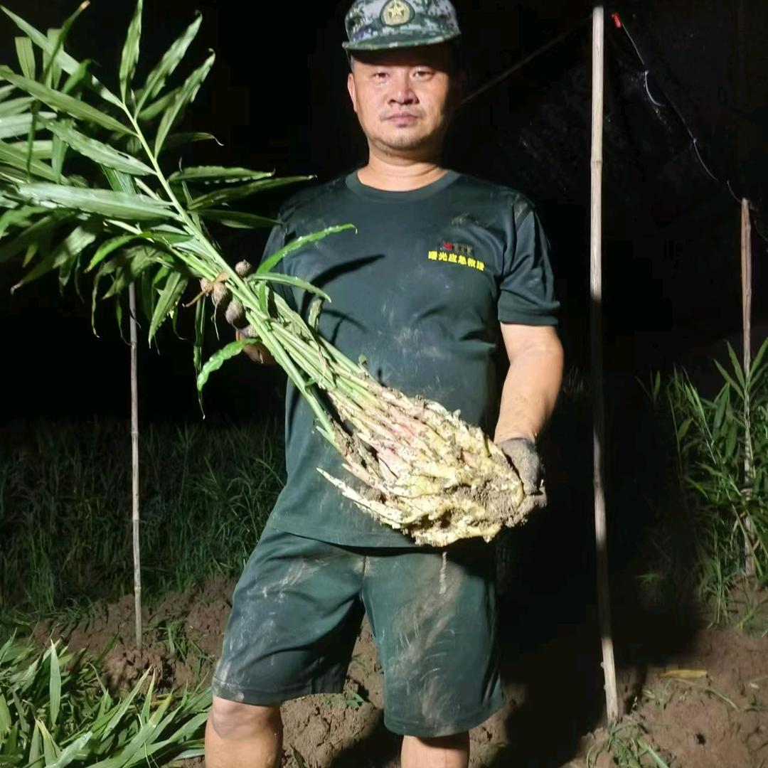 地地道道老农民