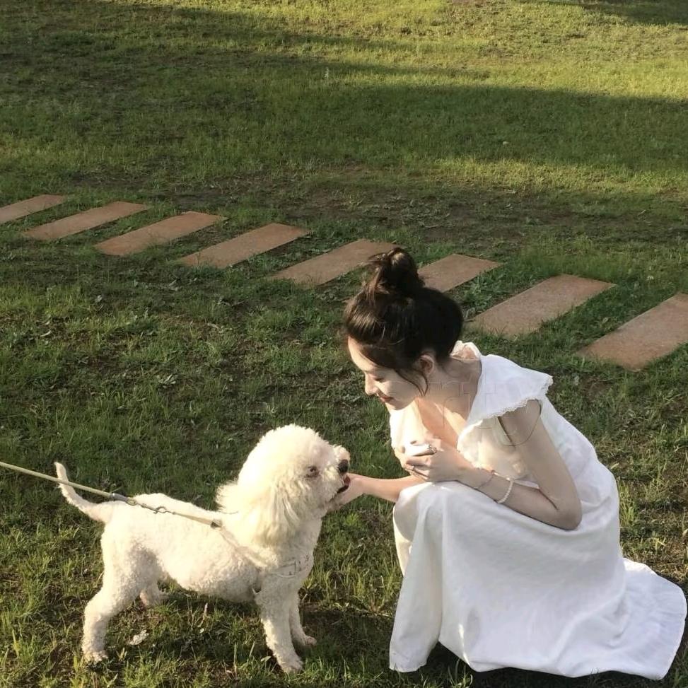 欢欢不吃糖吖
