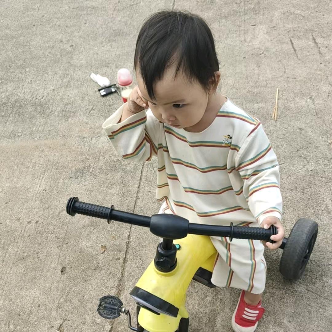 十五的月亮十六圆