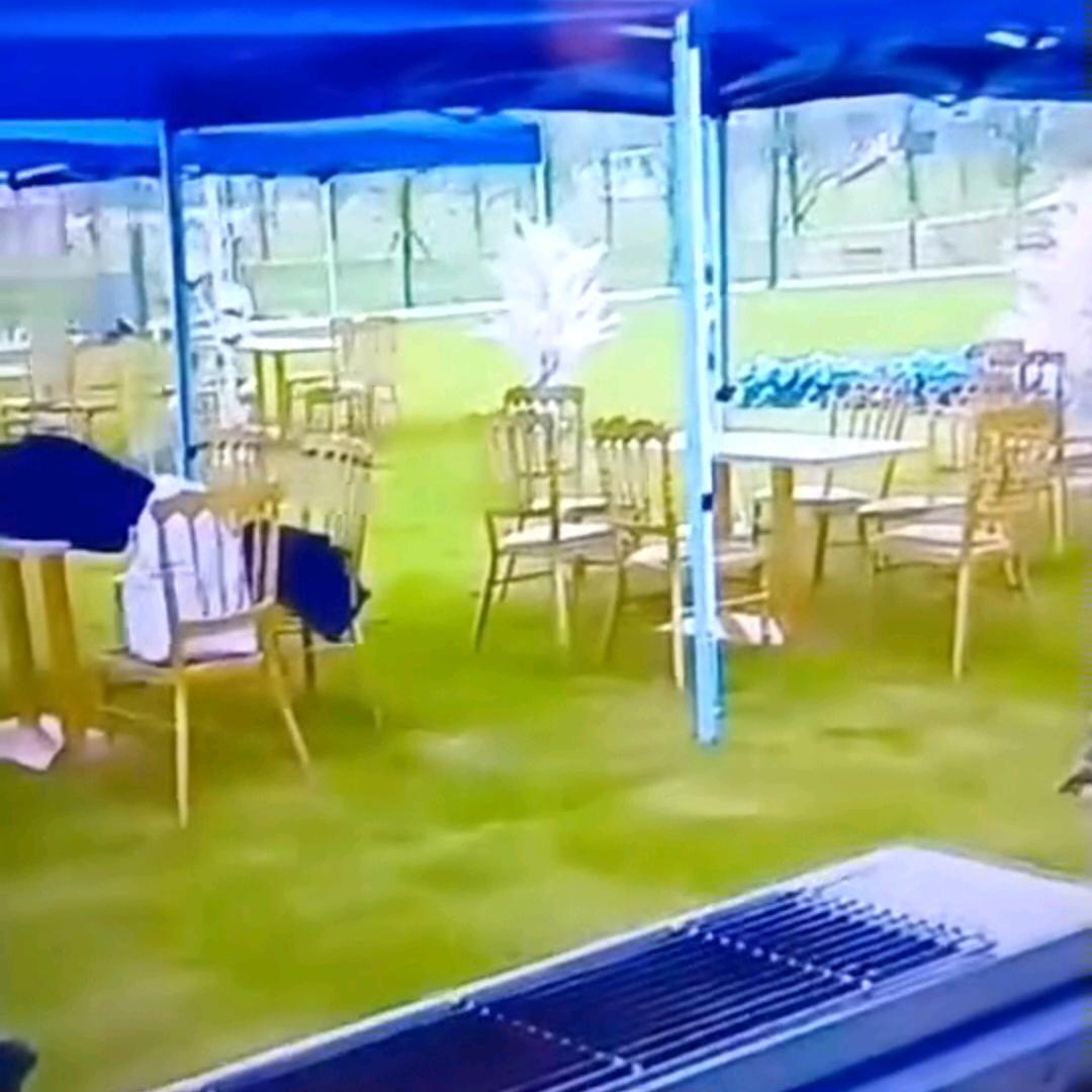 武哥户外俱乐部~美食音乐