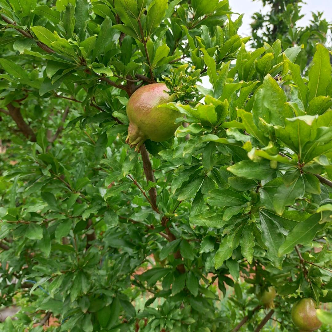 爱已欠费，情已停机