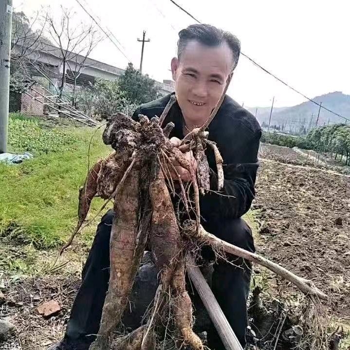 娄小青