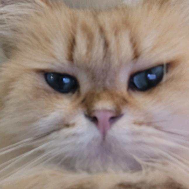 老了兜不住史被护工暴打