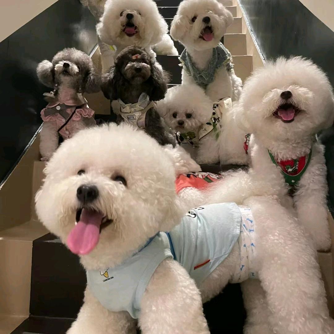 有猫腻撸猫馆官方号