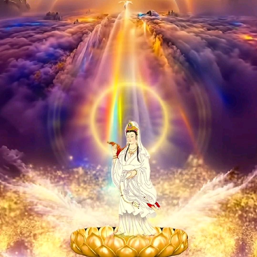 悟婵（颐和轩）