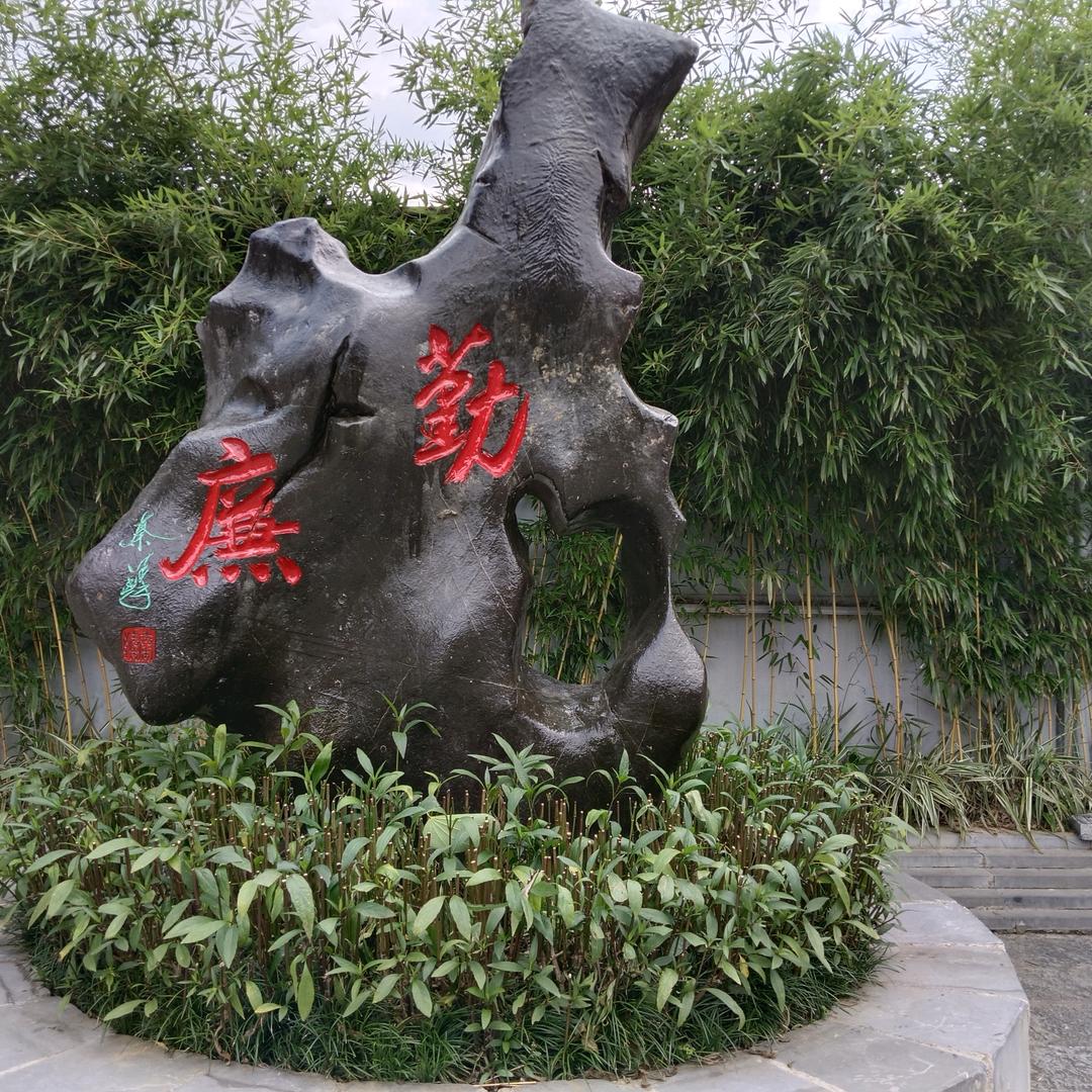 欢迎光林
