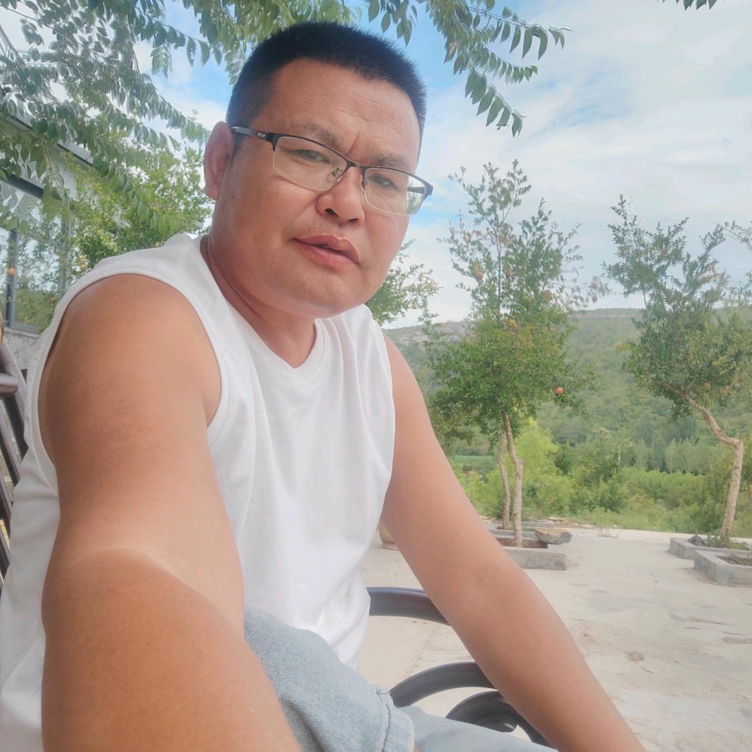 迎风飞扬