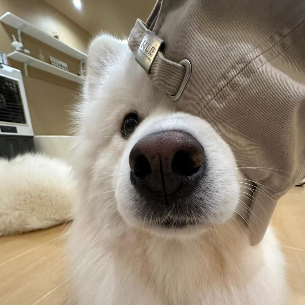 吃火鸡面吧