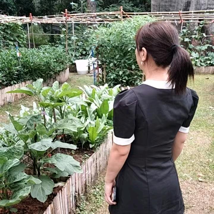 左右