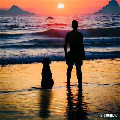 台州全屋定制安装