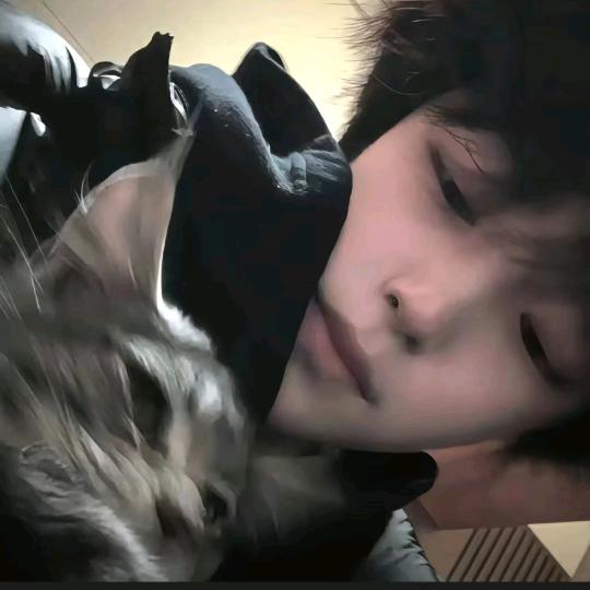 干嘛听苦情歌以为多浪漫