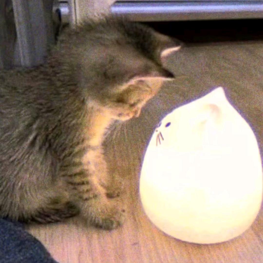 灰心感