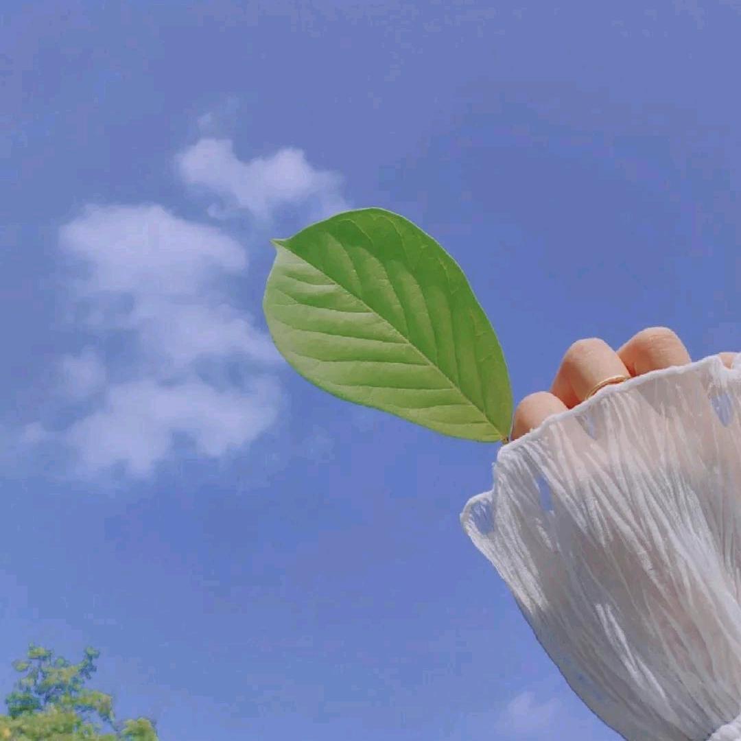 塒茪誋憶鈈嶶傷