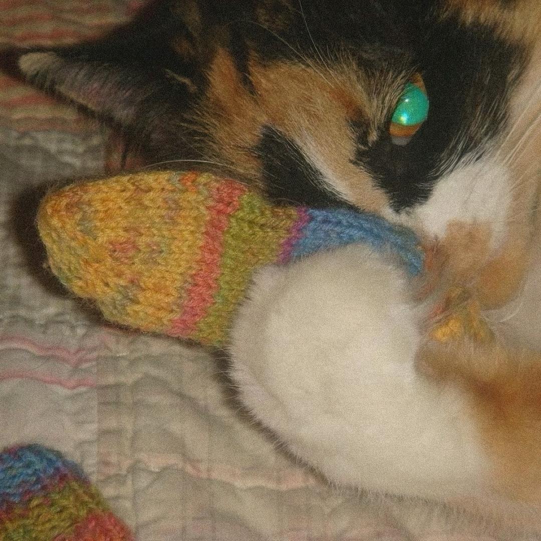 ￴￴   ￴ ￴ ￴￴￴