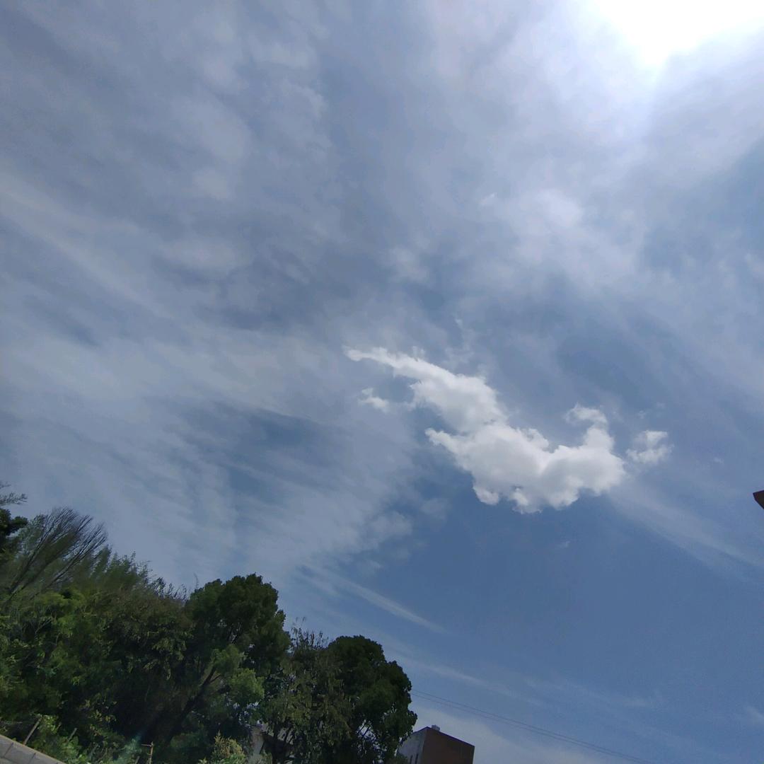 卖猪肉的客家妹