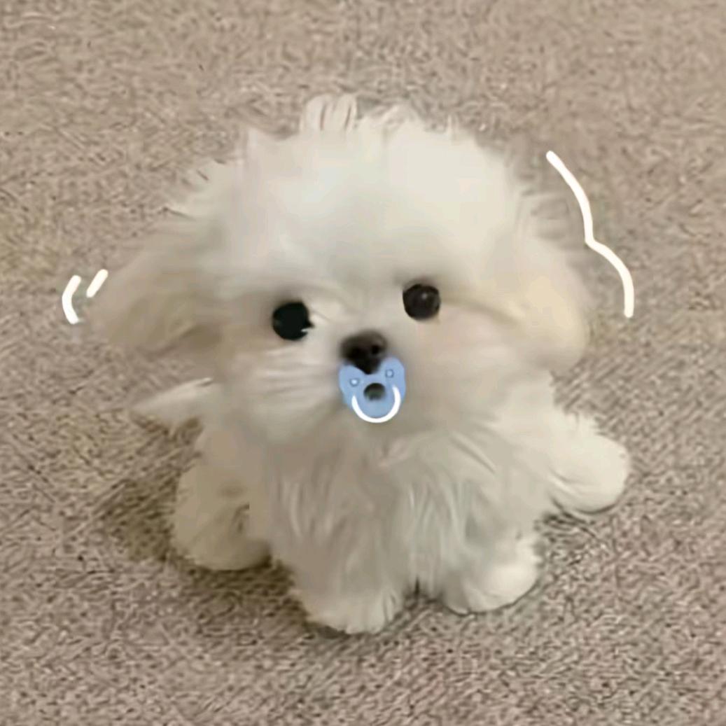 蜡笔小欣