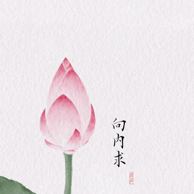 小米小米