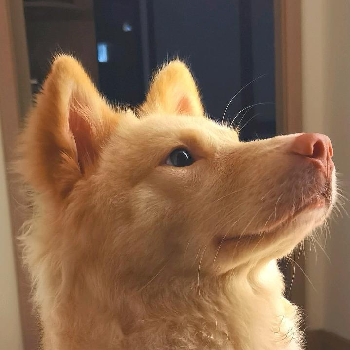 🌈榒榒nuo🐭🐹🐰