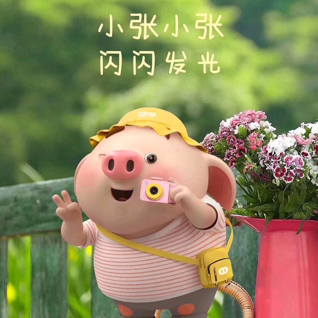 劝你善良（拒私聊）