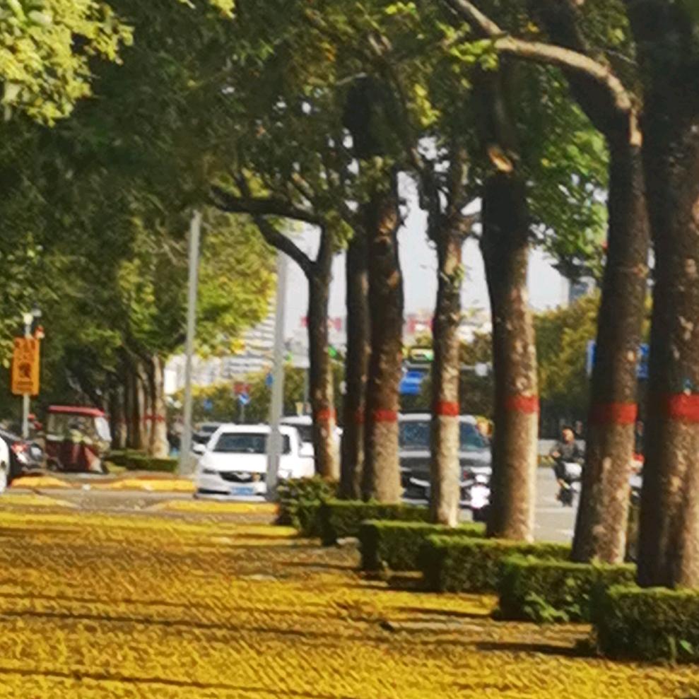 善墨是金
