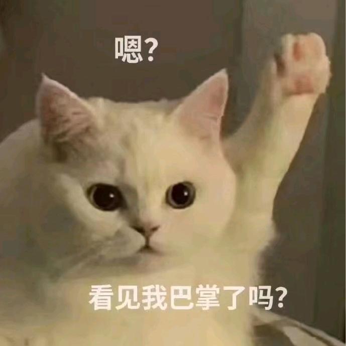 鸡肉饼