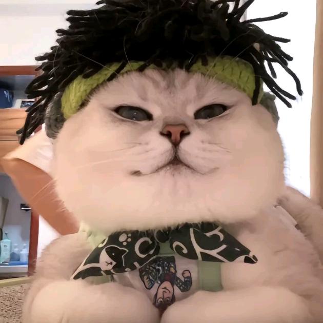 梦幻生活小铺Cgd