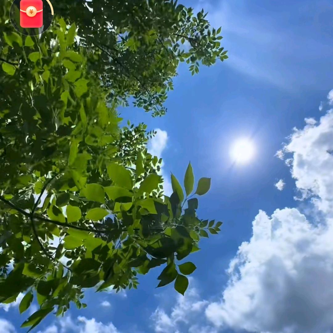 网红爆款推荐官