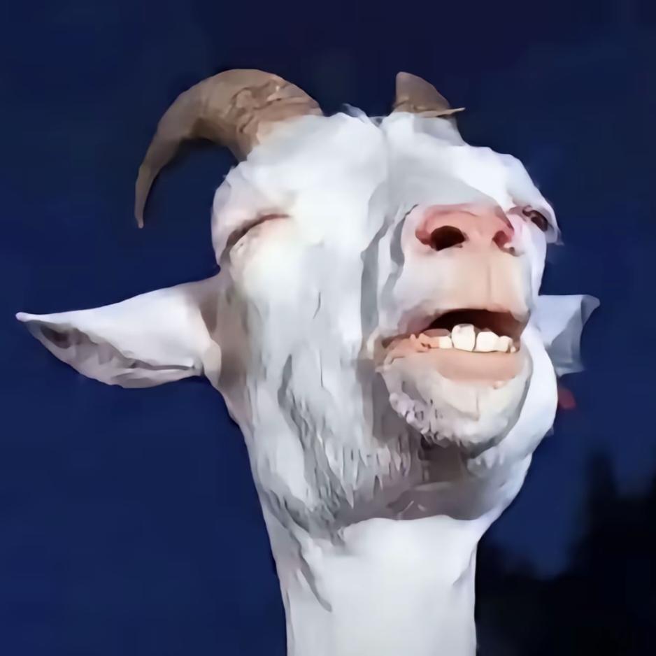 没脖子的仙人掌🌵