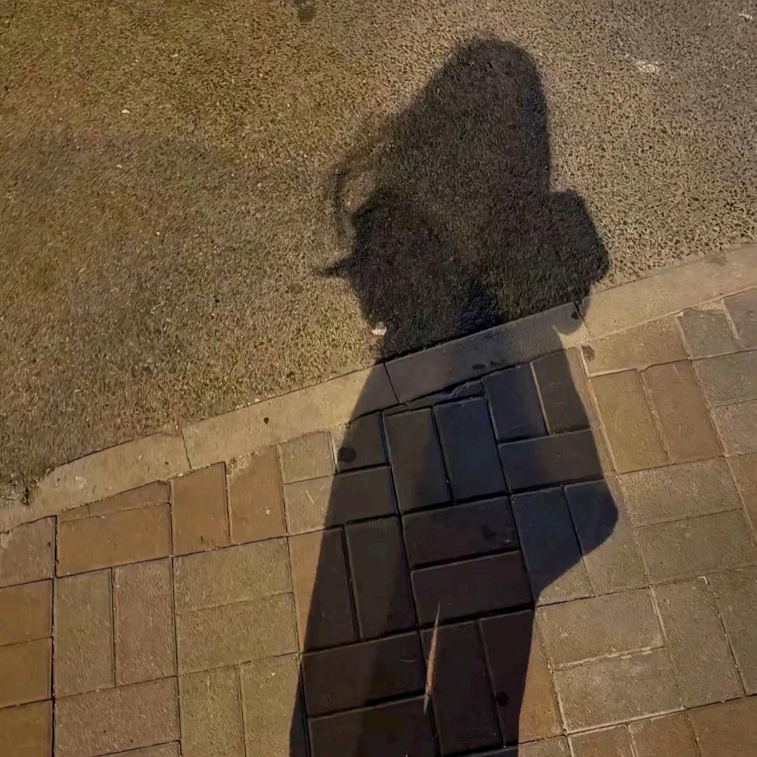 ᰔᩚ傻丫໌້ᮨ⃨头࿐ᩚ拒绝私聊