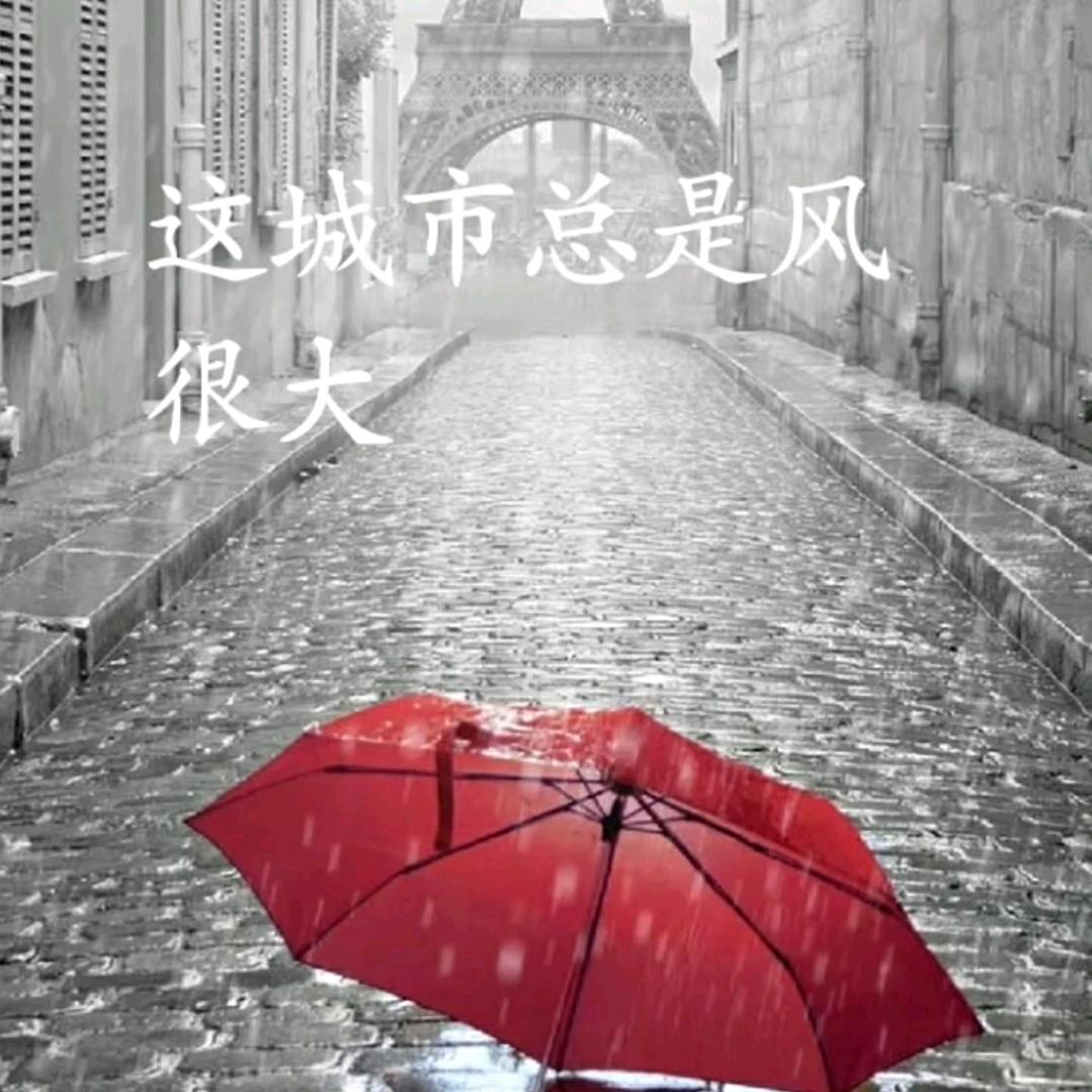 •̀ᴗ• 郑在💕变富•̀ᴗ•