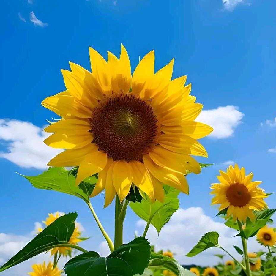 谭坊明发厨卫灯饰🤟